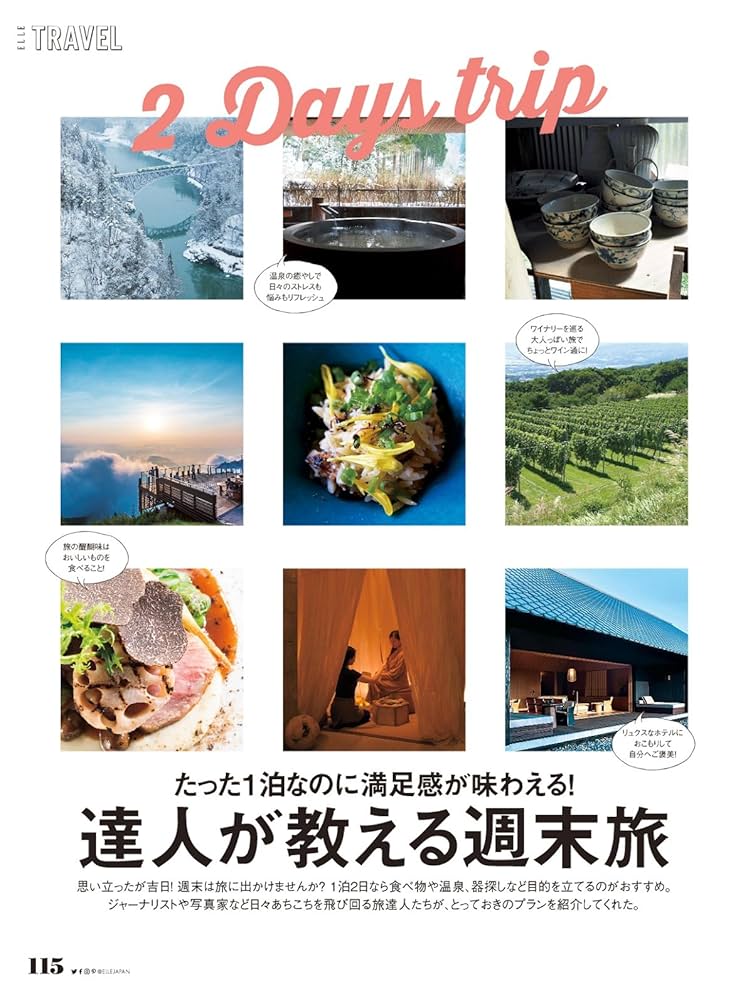 ELLE JAPON (エル・ジャポン) 2017年 12月号 ELLE JAPON (エル・ジャポン) 2017年 12月号 | ハースト婦人画